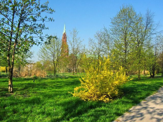 Park Hallera w Dąbrowie Górniczej