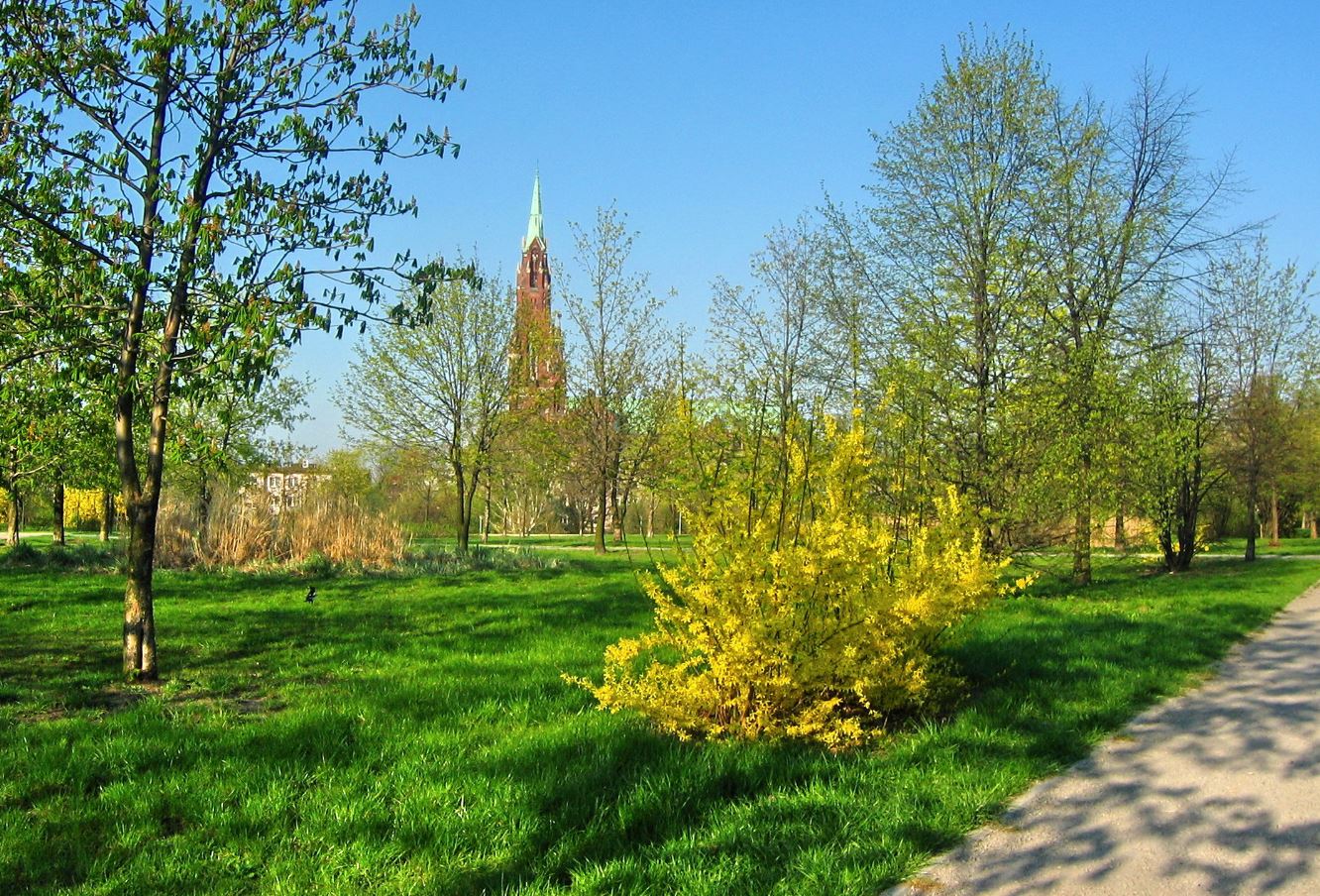 Park Hallera w Dąbrowie Górniczej